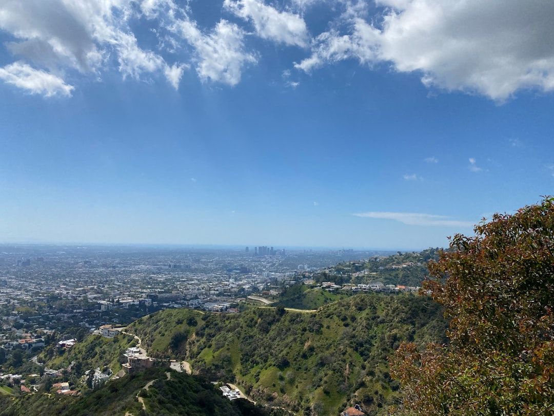 Griffith Park and the hills in Los Angeles