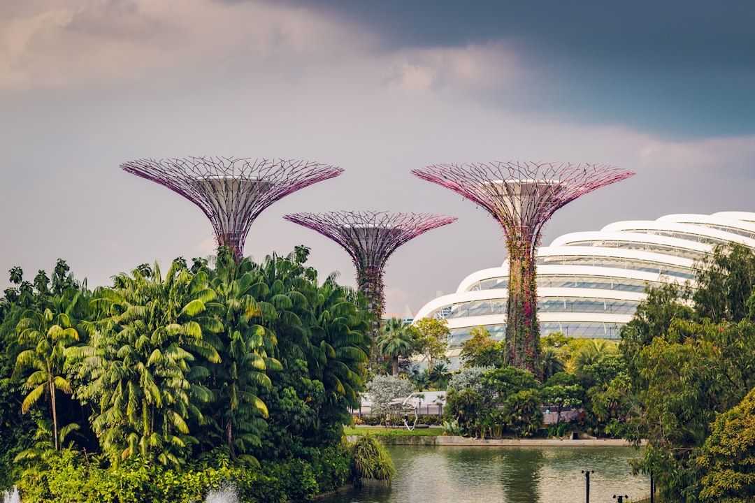 gardens by the bay singapore supertrees night accommodation