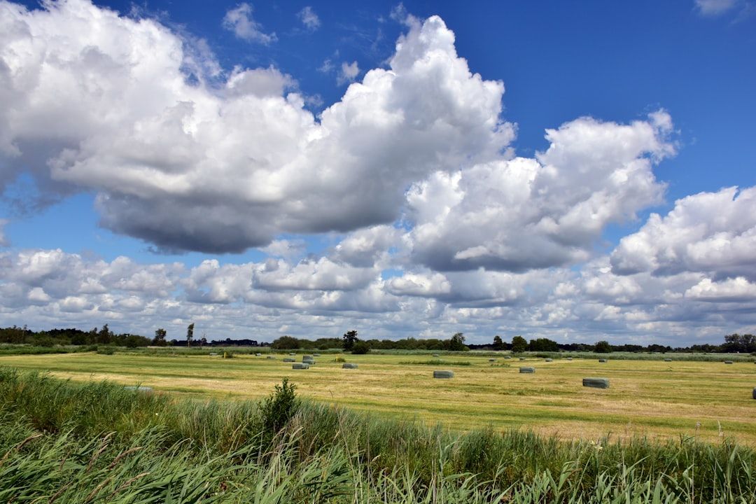 Netherlands countryside nature landscape